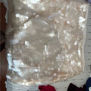 Alice Blue Cream Sequin Skirt